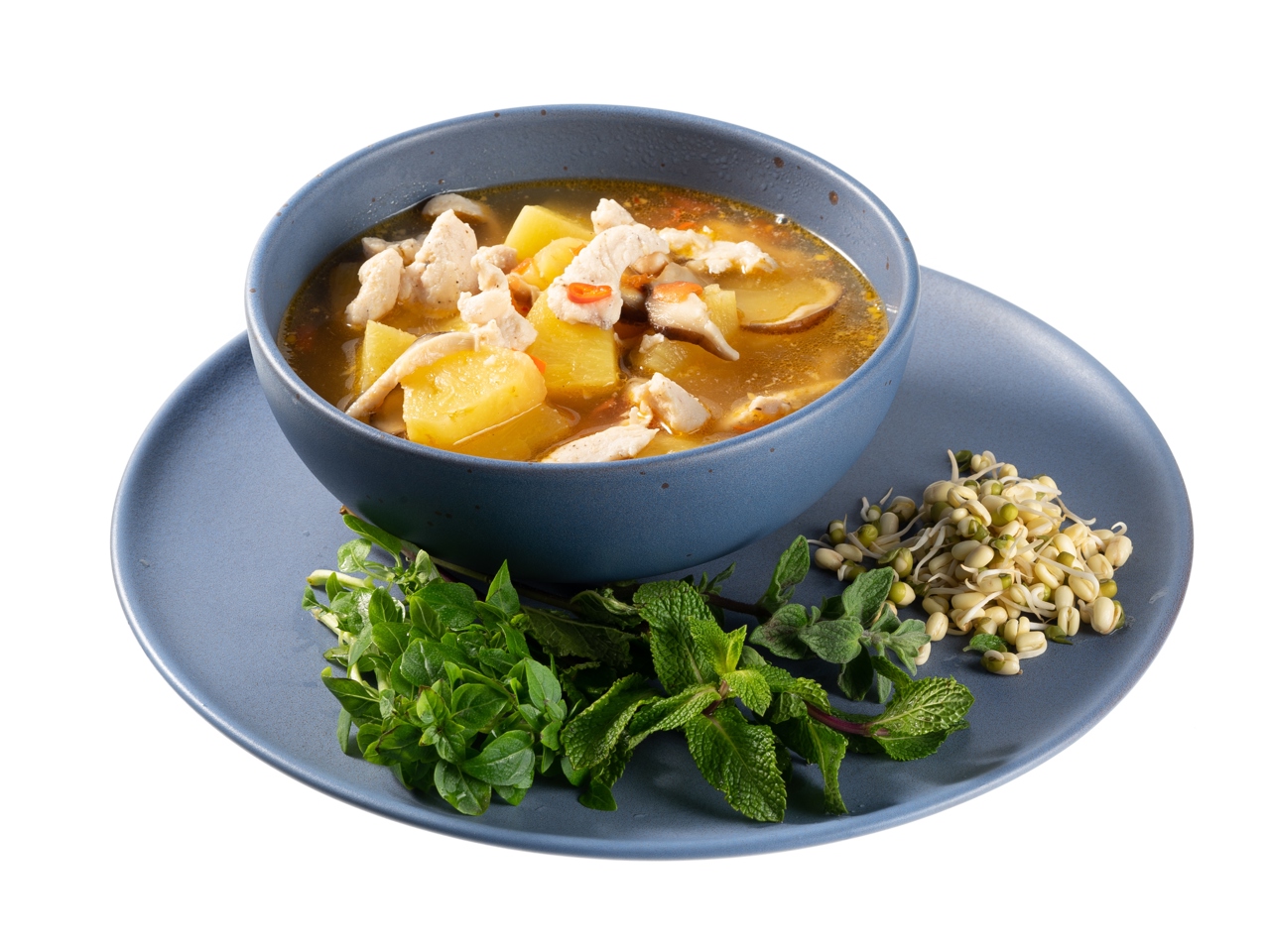 Vietnamese Chicken and Pineapple Soup
