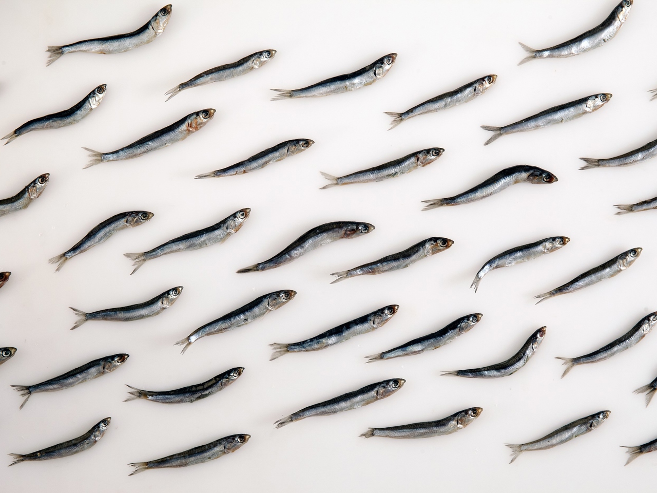 Marinated Sprats
