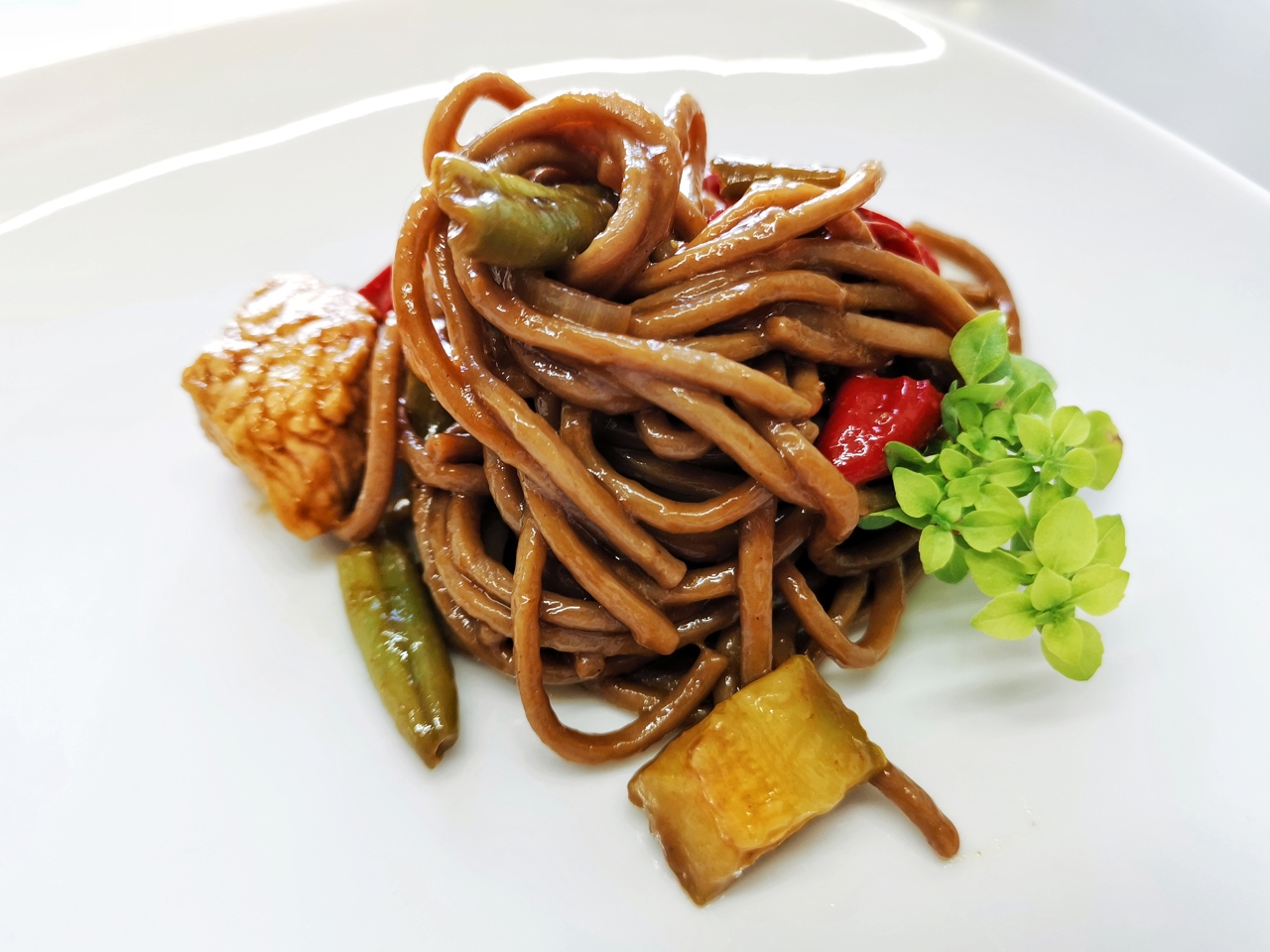 Buckwheat Noodles with Turkey and Vegetables in Teriyaki Sauce