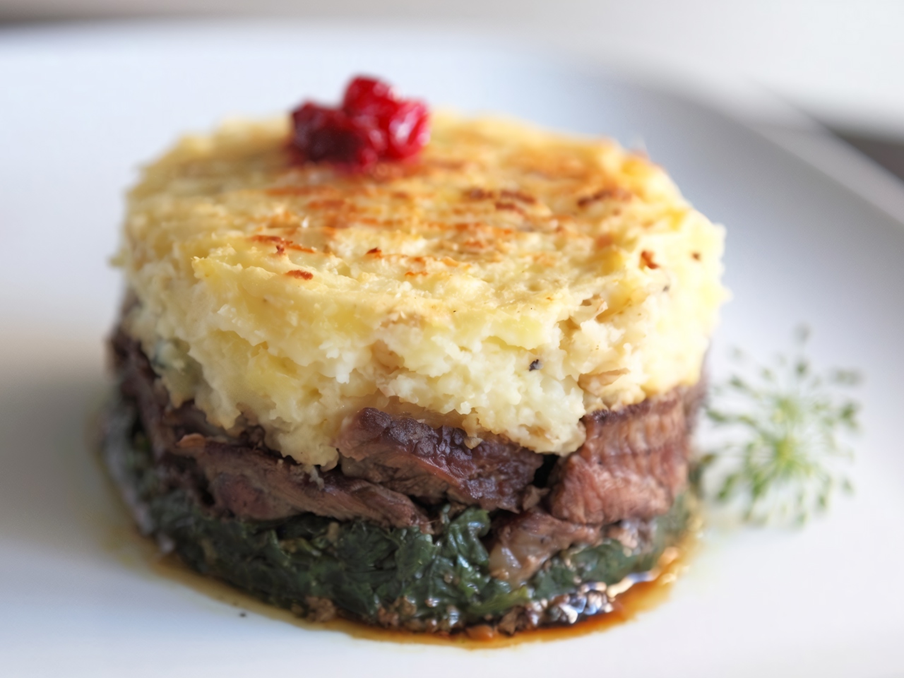 Beef with Mashed Potatoes, Spinach, and Berry Sauce – European recipe
