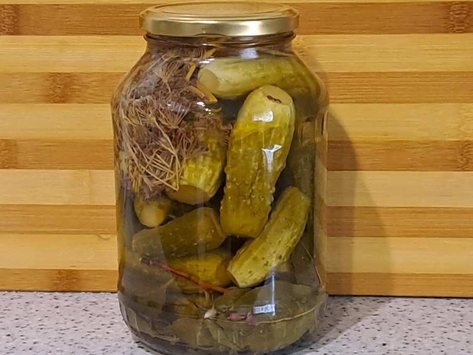 Pickled Cucumbers for Winter Without Sterilization