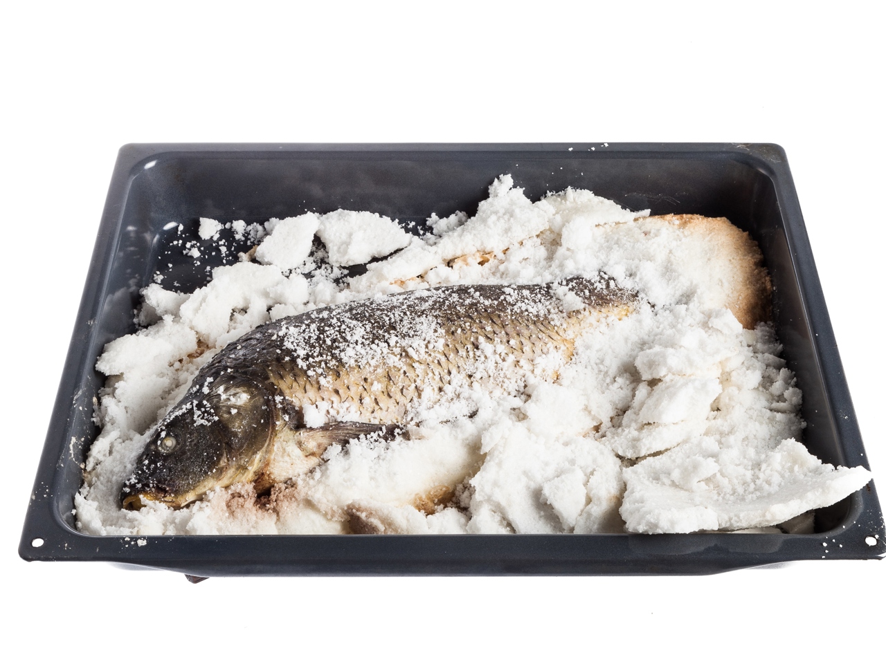 Fish in Salt