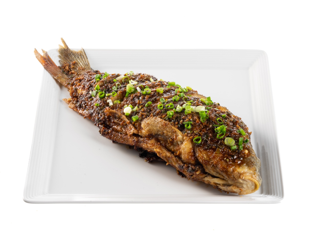 Citrus Carp