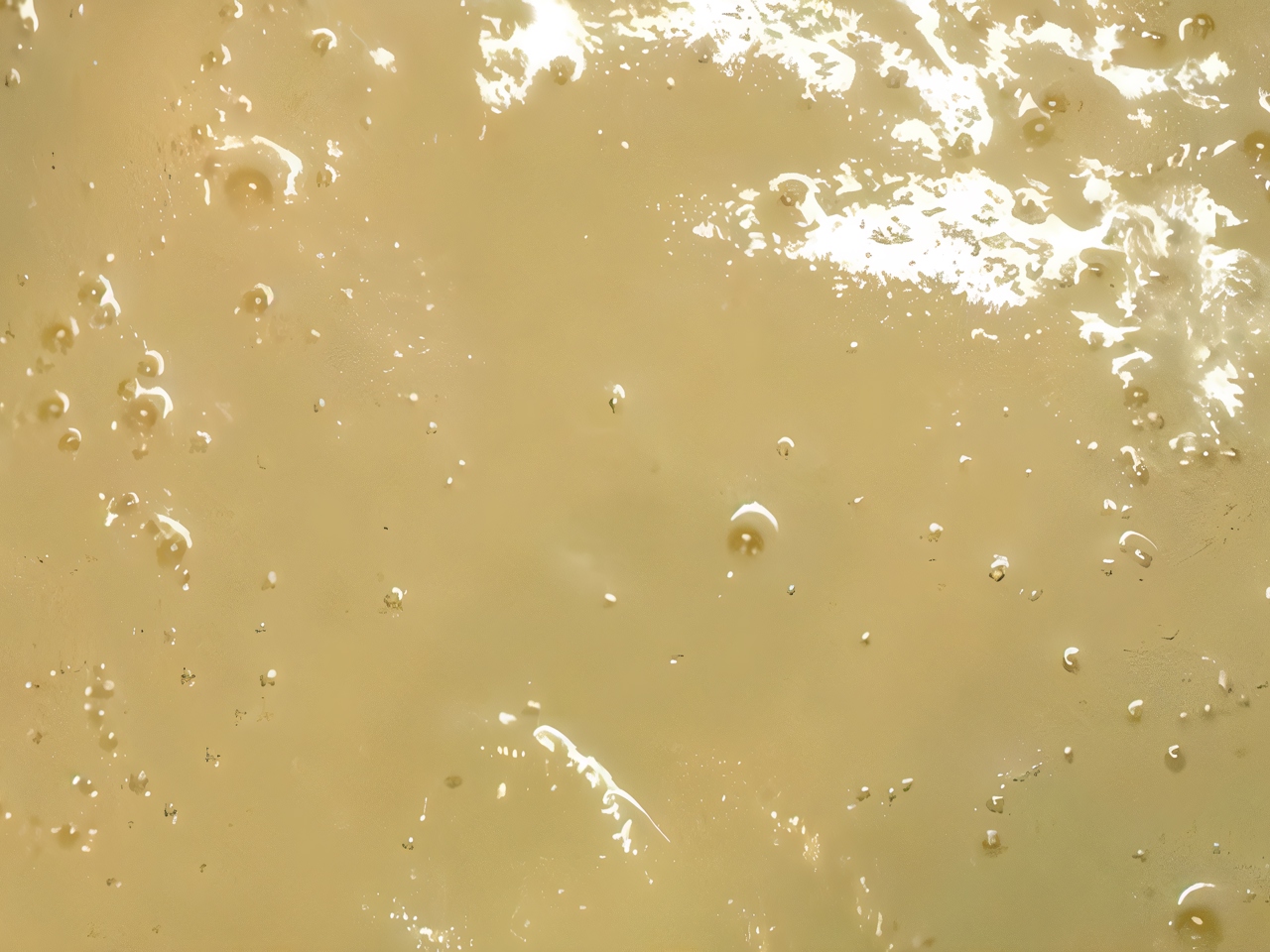 Potato and Chicken Breast Puree Soup