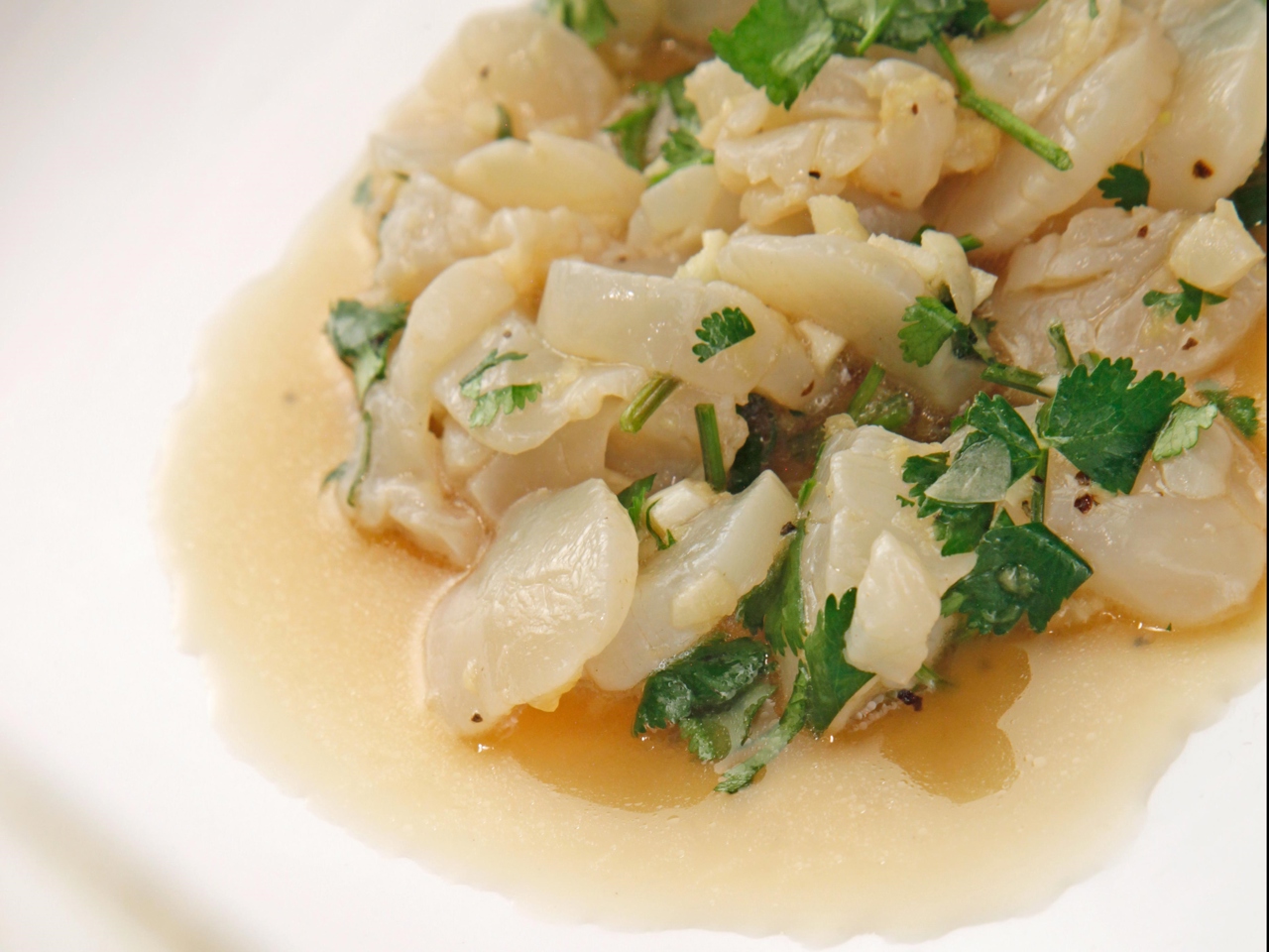 Scallop Ceviche