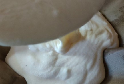 Step 15 Image