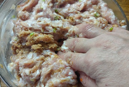 Step 9 Image
