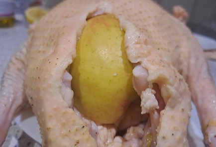 Step 7 Image