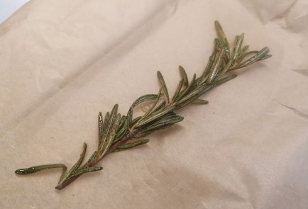 Step 6 Image