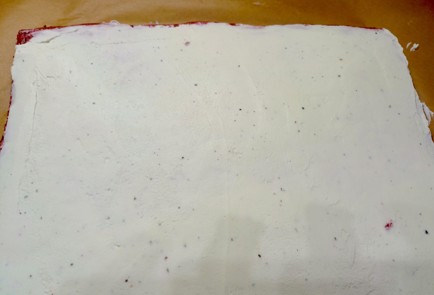 Step 12 Image