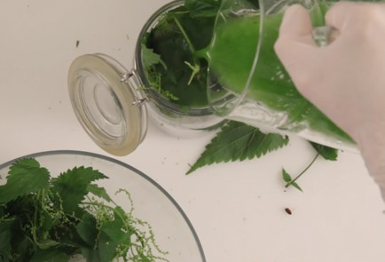 Step 3 Image