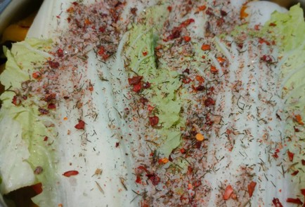 Step 16 Image