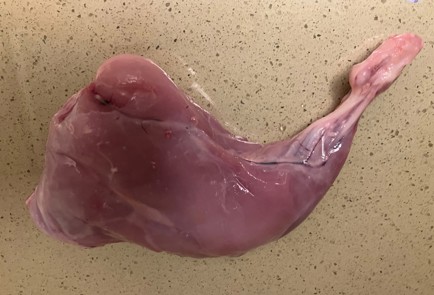 Step 1 Image