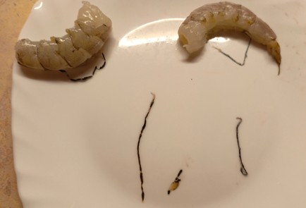Step 3 Image