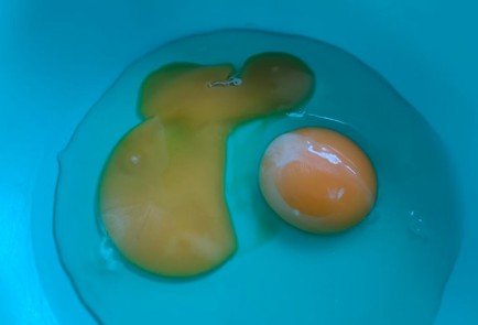 Step 2 Image