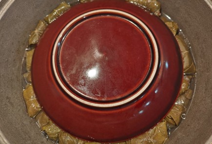 Step 19 Image