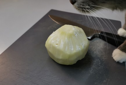 Step 1 Image