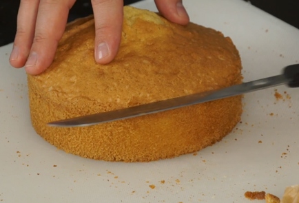 Step 7 Image