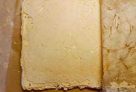 Step 19 Image