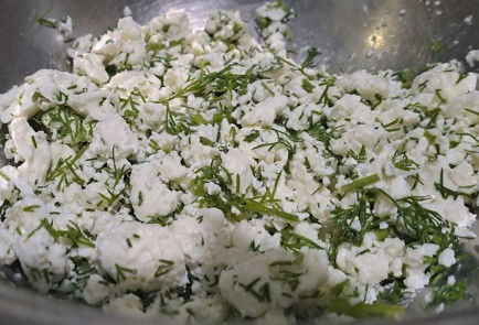 Step 7 Image