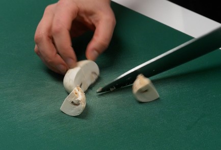 Step 5 Image