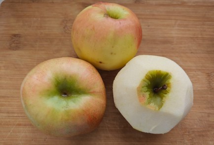Step 8 Image