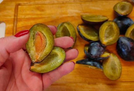 Step 7 Image