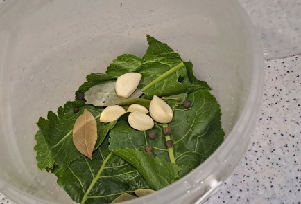 Step 4 Image