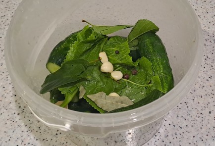 Step 6 Image