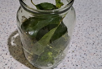 Step 5 Image