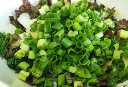 Step 5 Image