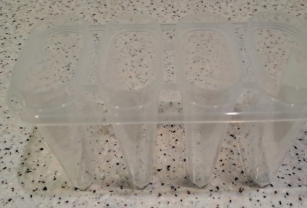 Step 9 Image