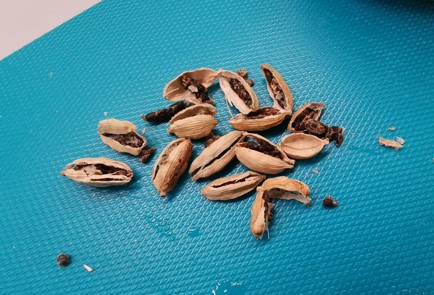 Step 6 Image