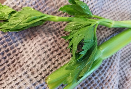 Step 3 Image