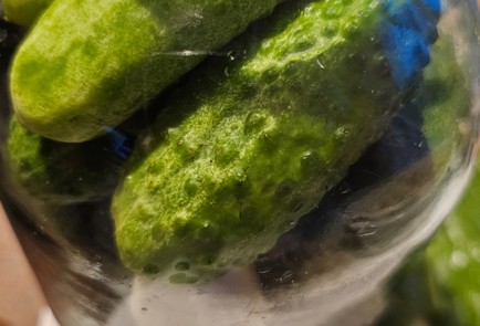 Step 10 Image