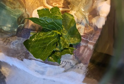 Step 4 Image