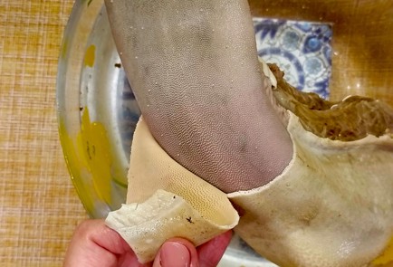 Step 5 Image