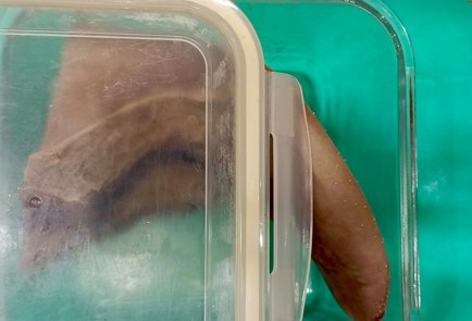 Step 6 Image