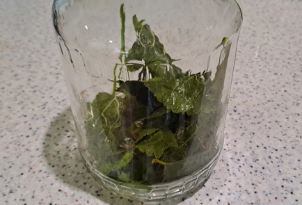 Step 4 Image