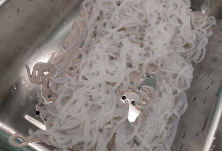 Step 11 Image