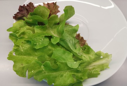 Step 4 Image