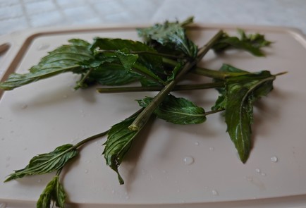 Step 8 Image