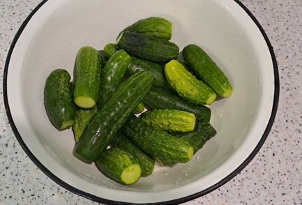 Step 8 Image