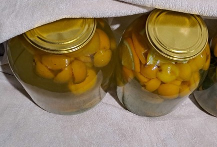 Step 11 Image