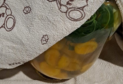 Step 11 Image