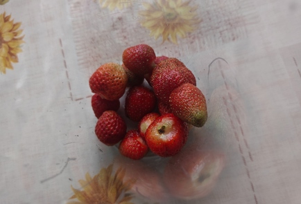 Step 6 Image