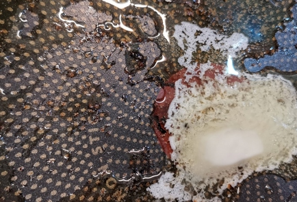 Step 3 Image