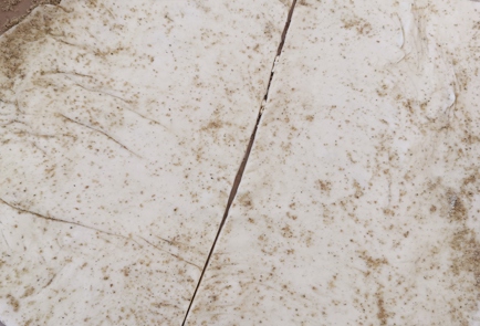 Step 7 Image