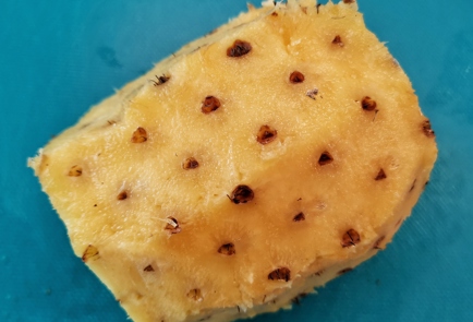 Step 2 Image