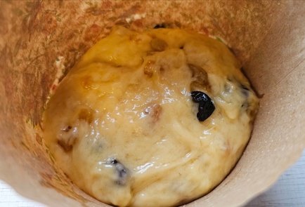 Step 10 Image